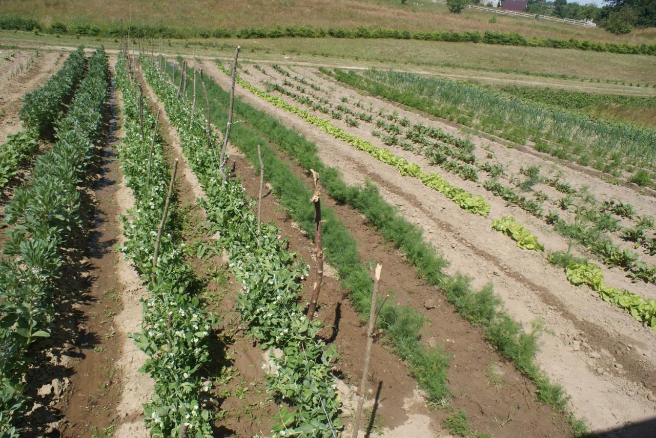 Agrodomki Okej -Dom Koko Gardna Wielka Dış mekan fotoğraf